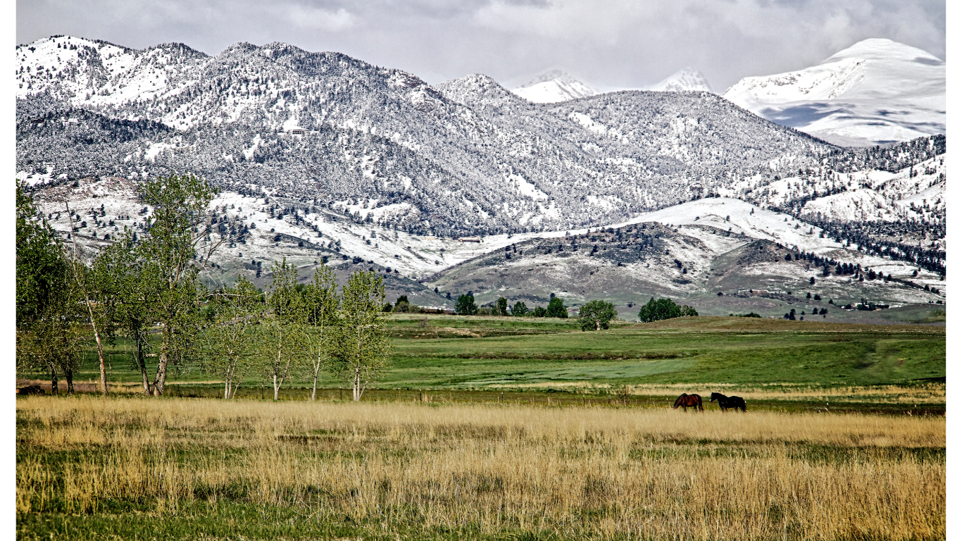 Snow capped mountains behind grass fields with horses grazing